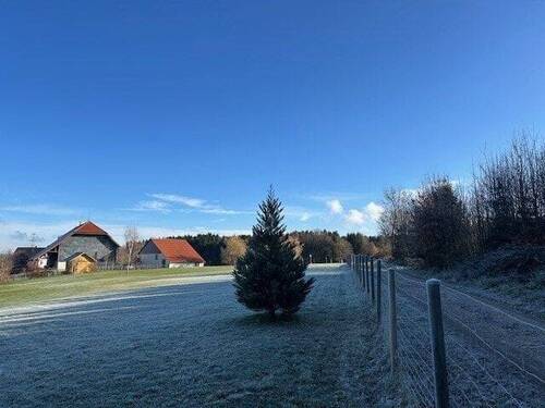 Direkt am Waldrand - 