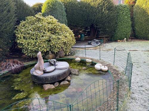 Gartenteich im Winter - 
