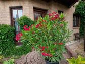Eingangsbereich - 