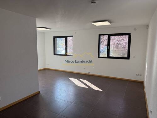 Großes Büro im EG - Büro zum Kaufen in Breisach am Rhein