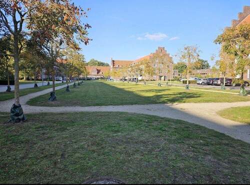 Park mit Bäumen und Wegen - 