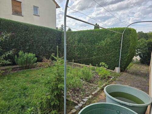 20250913_162916.jpg - 