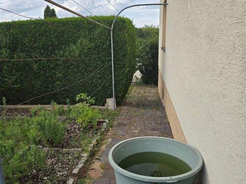 20250913_162912.jpg - 