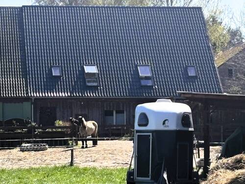 geräumige Haushälfte - 4 Zimmer Doppelhaushälfte zum Kaufen in Saal
