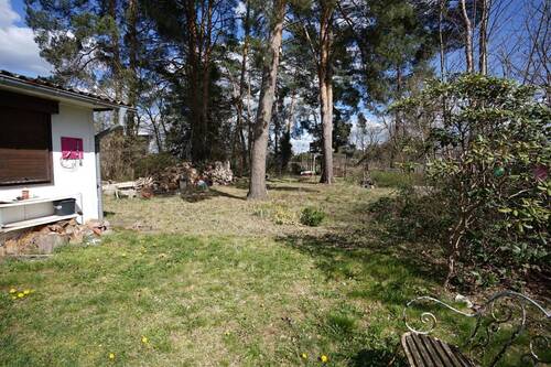 Garten - Grundstück in Blossin / Friedersdorf zum Kaufen