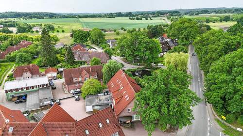 Grüne Landschaft - 