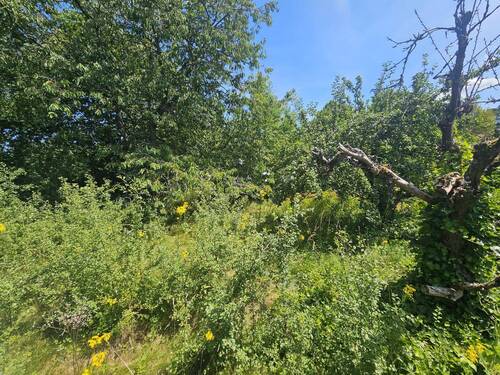 WhatsApp Image 2025-07-18 at 14.21.38 (1).jpeg - 5 Zimmer Mehrfamilienhaus, Wohnhaus zum Kaufen in Schlangenbad