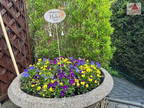 Detail - Mehrfamilienhaus, Wohnhaus mit 350,00 m&sup2; in Erlbach-Kirchberg zum Kaufen