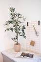 Musterwohnung - 