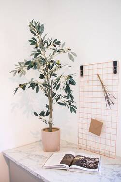 Musterwohnung - 