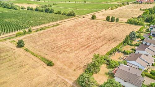 Ansicht - Grundstück zum Kaufen in Wachenheim