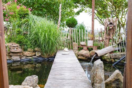 Teich mit Fischbestand - 