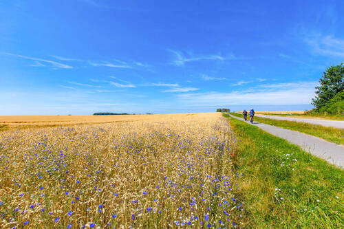 Ihre neue Umgebung - 