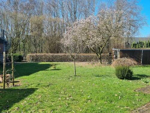 Gartenblick - 