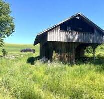 16.590 m² Freizeitgrund mit Hütte nähe Viechtach