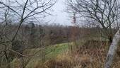 Bild 24 - 