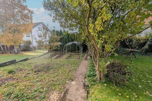 PXL_20251019_085606156 - 