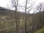 Parkblick aus Elternschlafzimmer - 