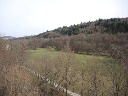 Parkblick - 4 Zimmer Etagenwohnung zur Miete in Bad Brückenau
