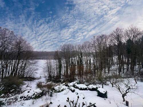 Blick auf den See - Grundstück in Malente