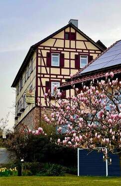 Frühlingsimpressionen.jpg - 