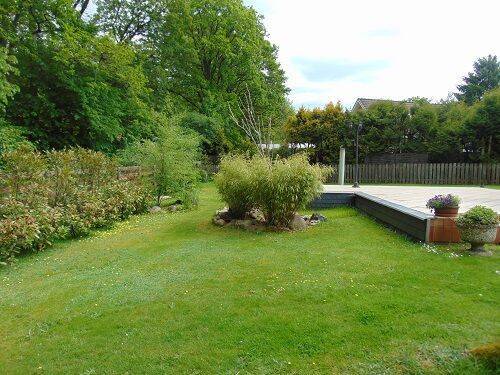 Garten Bild 1.jpg - 