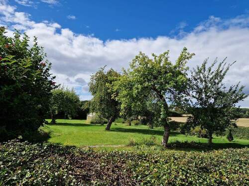 Garten - 4 Zimmer Einfamilienhaus in Bosau