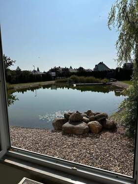 Teich.jpg - 