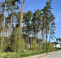 Charmantes Grundstück in Borkwalde- sofort planbar - Borkwalde / Alt Bork