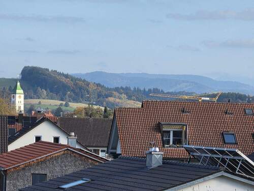 Bild 5.jpg - 