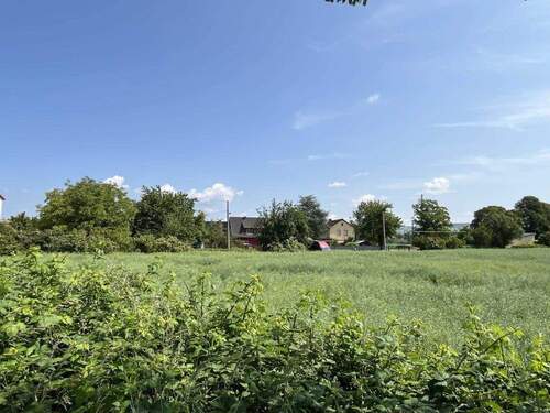 Nahe Wiesen u. Felder - 