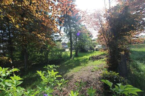 hinteres Grundstück - 