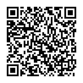 QR-Code - 