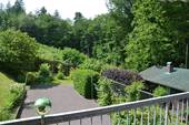 Blick vom Balkon zum Wald - 
