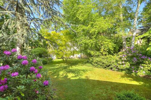 Blick in den Garten - Grundstück in Berlin zum Kaufen