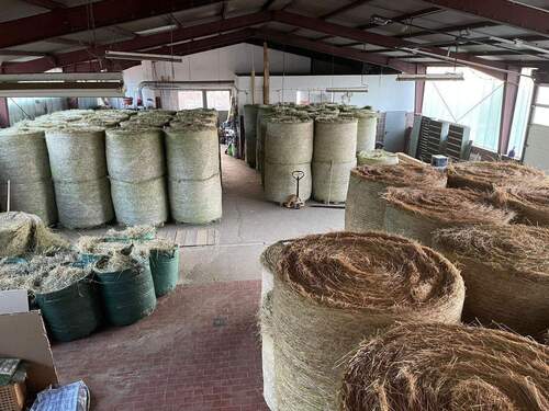 WhatsApp Image 2025-12-16 at 11.01.04-11.jpeg - 