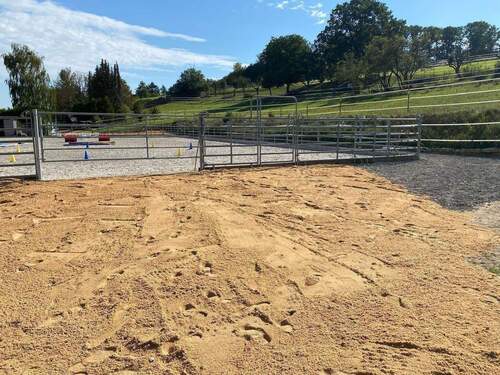 WhatsApp Image 2025-12-16 at 11.01.04-10.jpeg - 