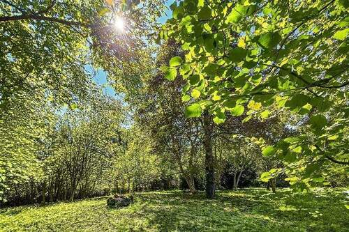 Traumhaftes Grundstück - Traumhaftes Grundstück mit Baugenehmigung.