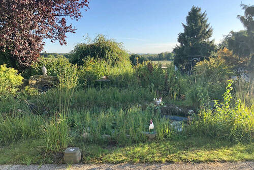 Blick in den Garten - 