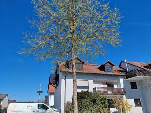 Wohnanlage - 2 Zimmer Etagenwohnung zum Kaufen in Regensburg