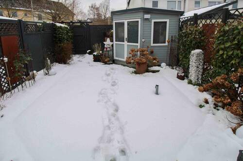 Gartenbereich - 3 Zimmer Reihenmittelhaus in Kronshagen