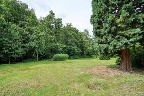 Teilansicht Grundstück - Einfamilienhaus mit 237,00 m&sup2; in Witten zum Kaufen