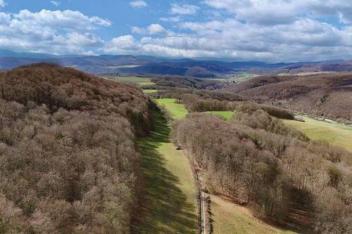 Vogelperspektive - 0,87 ha Wald mit altem Buchenbestand und Grünland
