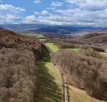 0,87 ha Wald mit altem Buchenbestand und Grünland - Asbach-Sickenberg