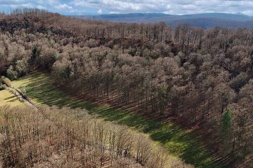 Lauftaufnahme - Grundstück zum Kaufen in Asbach-Sickenberg