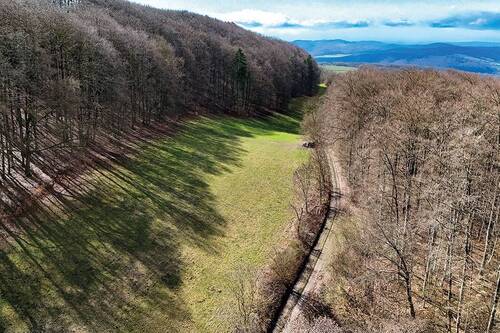 Blick von oben - Grundstück in Asbach-Sickenberg