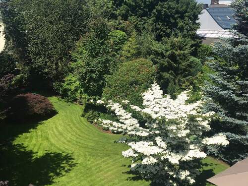 IMG_1431.JPG - 1 Zimmer Mehrfamilienhaus, Wohnhaus in Viersen