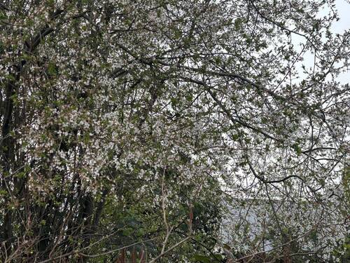 Gaten1.jpeg - Exklusive Baugrundstück in Behringhausen, Castrop-Rauxel