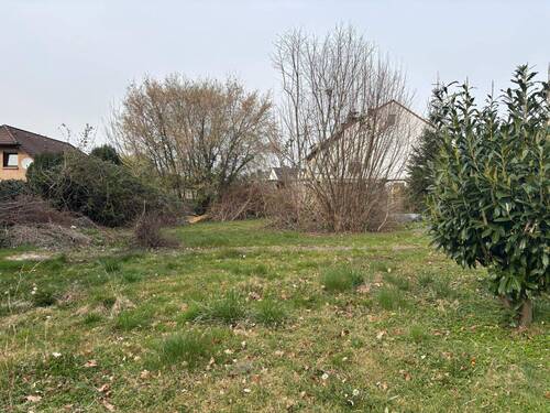 Garten.jpeg - Grundstück in Castrop-Rauxel