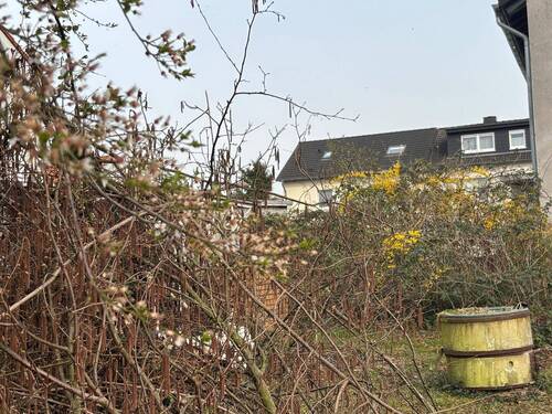 WhatsApp Image 2026-.jpeg - 